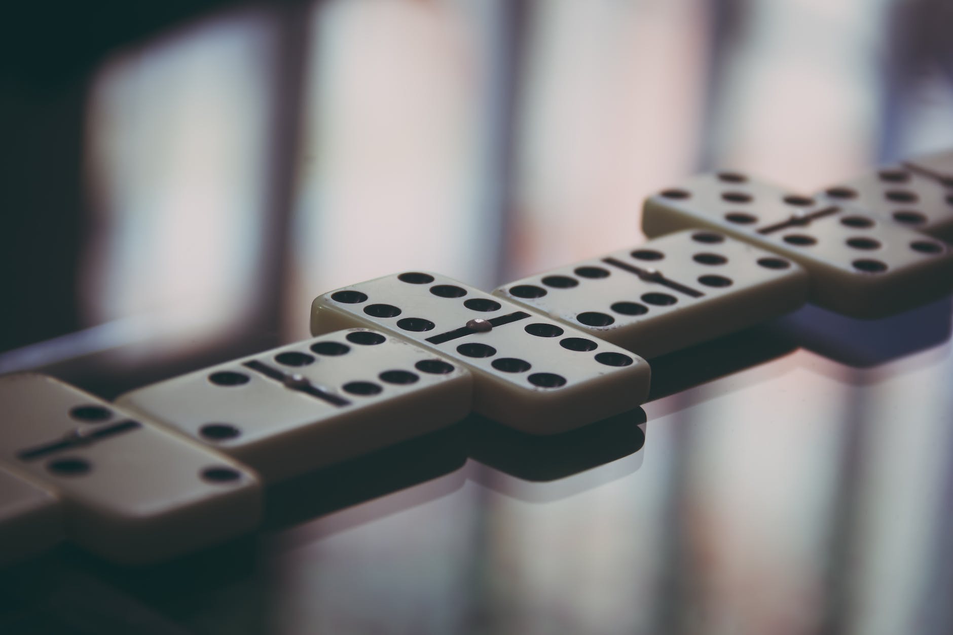 Connecting the dots, going “all-in”, and doing what you love